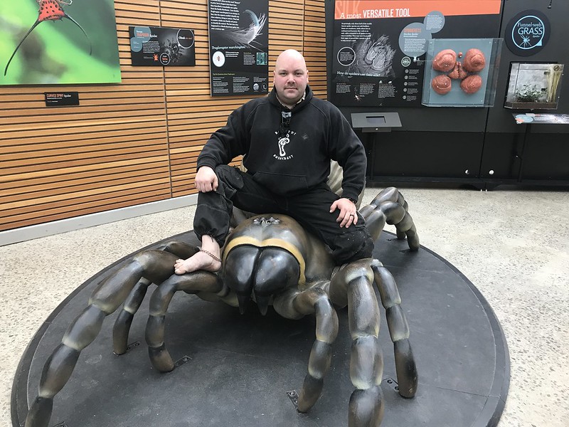 Spider Exhibit - Royal Botanical Gardens (2019)